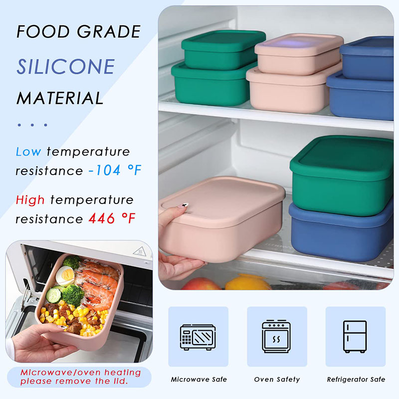 Bento Lunch Box resistente all - Meal Prep Recipes recensione e prezzo